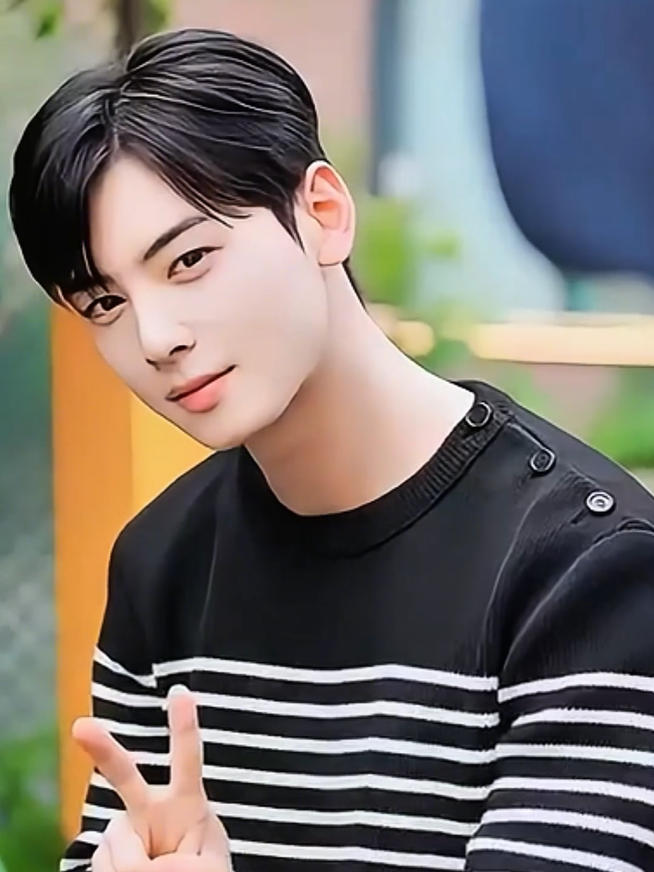 @Cha Eun Woo Edits
