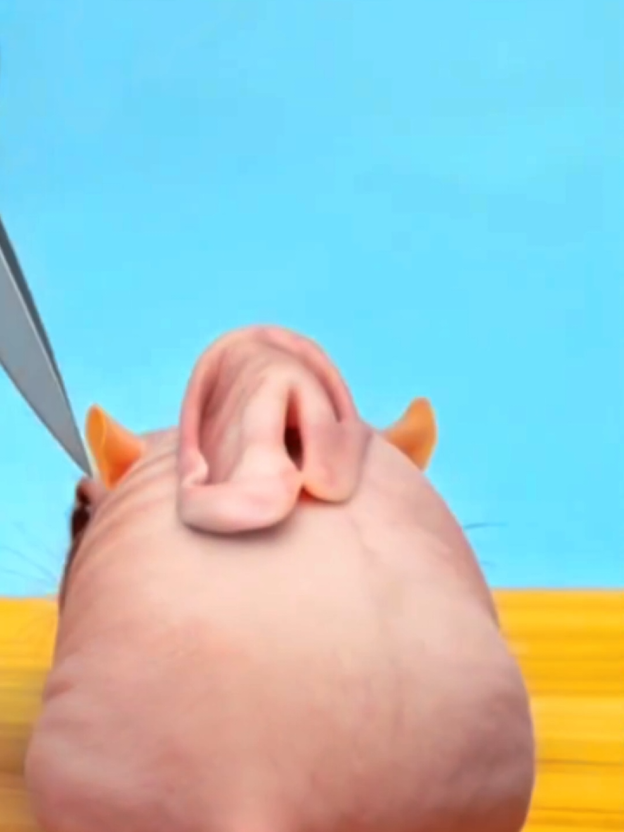 @Mind Sim