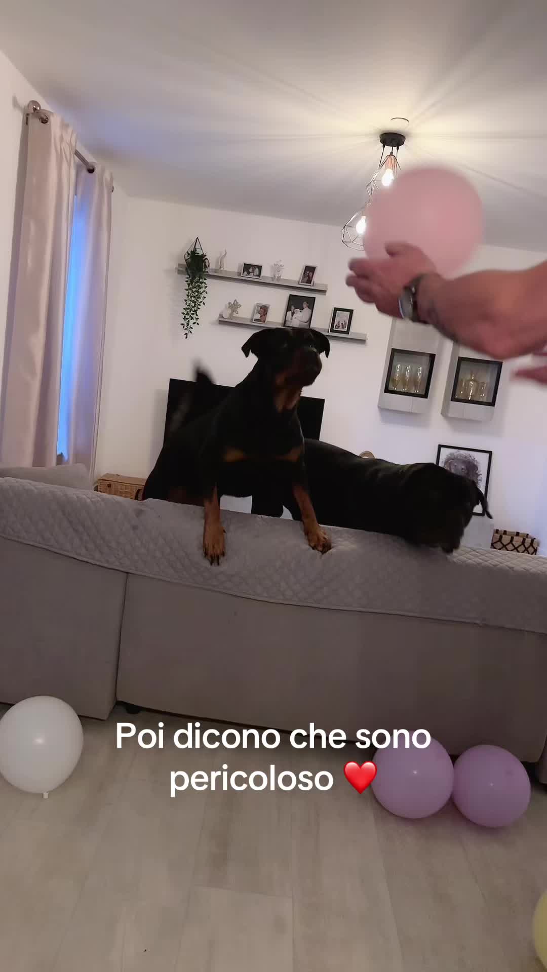 @Giusy