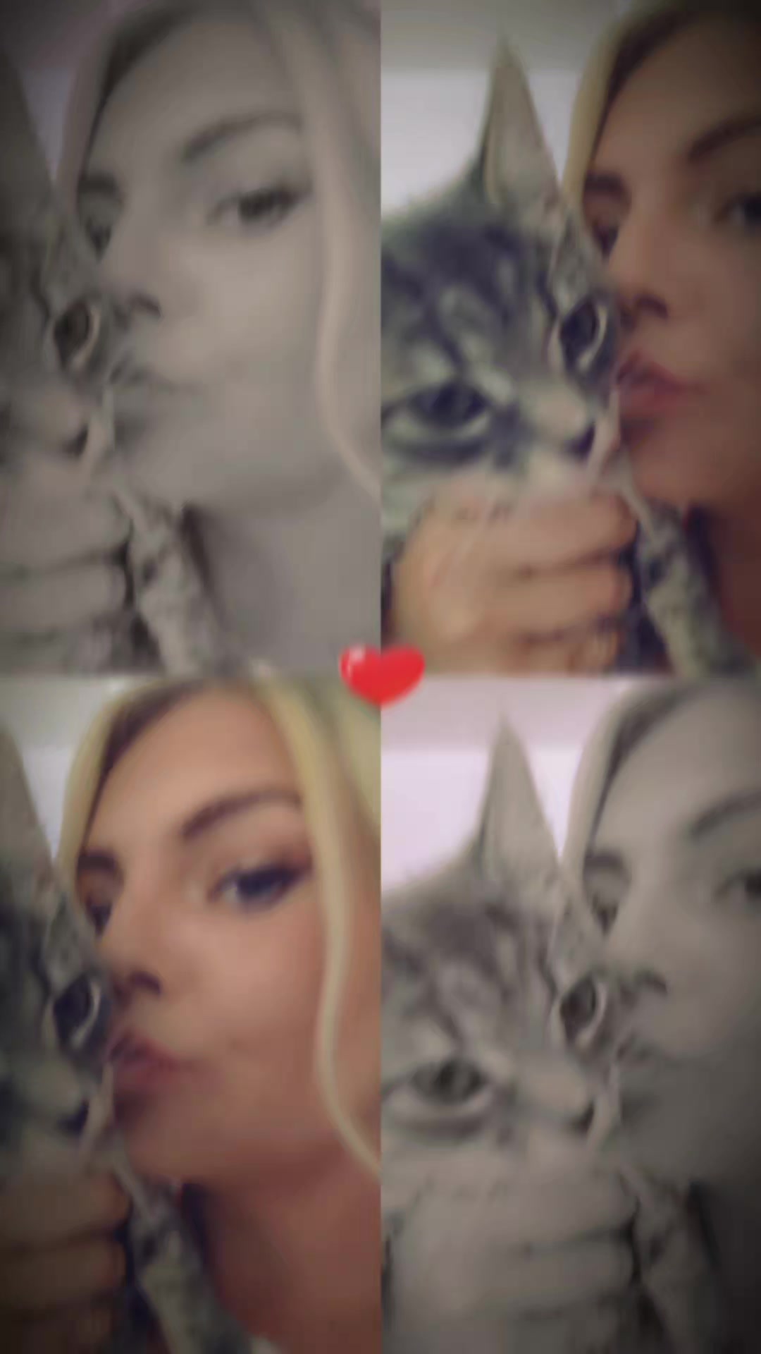 @jmlb