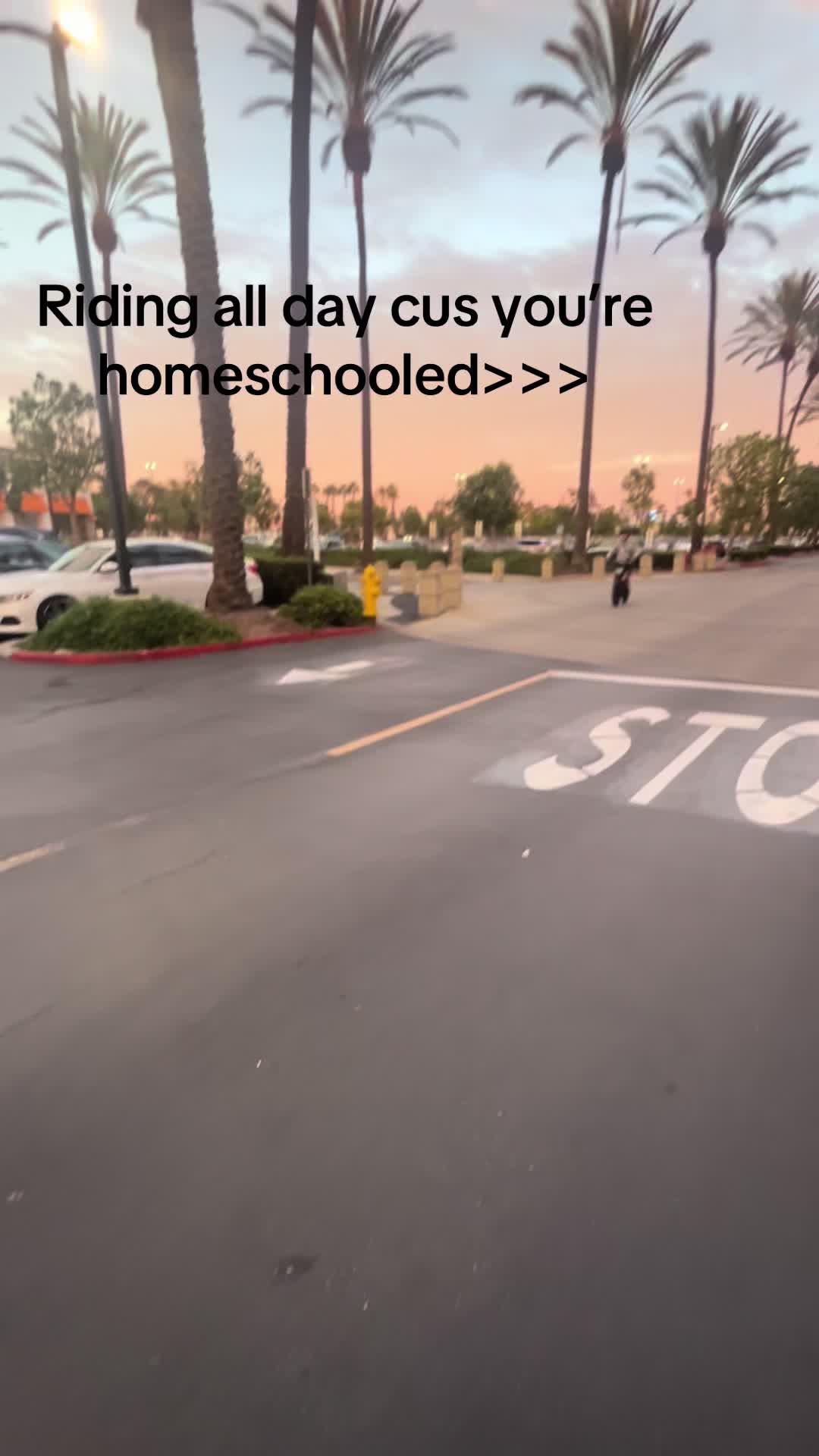 @macfoxisma