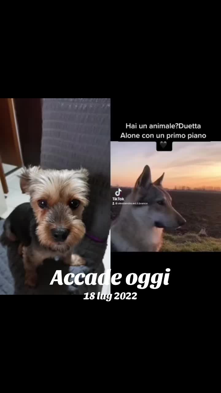 @𝒸𝓇𝒾𝓈𝓉𝒾𝓃𝒶  𝒻𝒶𝒷𝒾ℴ ❤