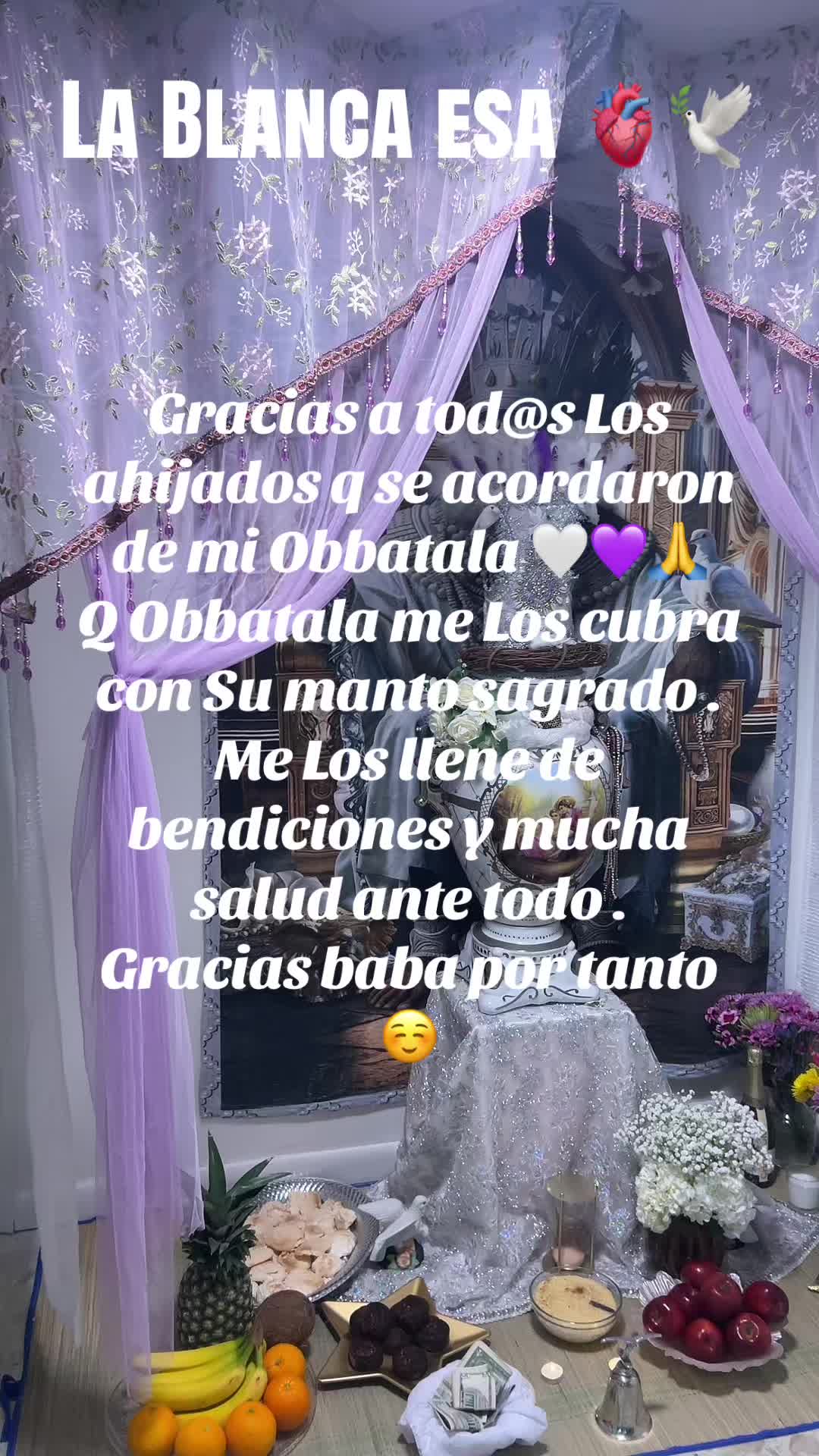 @Lacasadeeggun🤍🖤