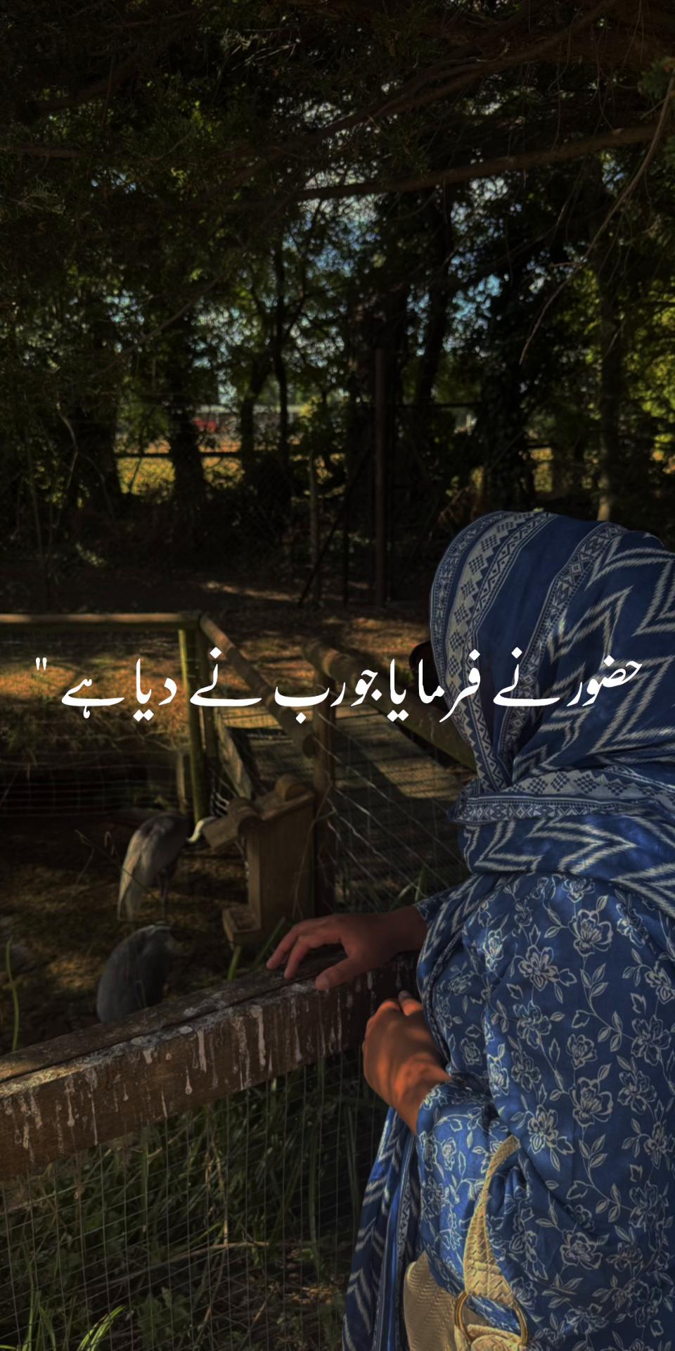 @Noor