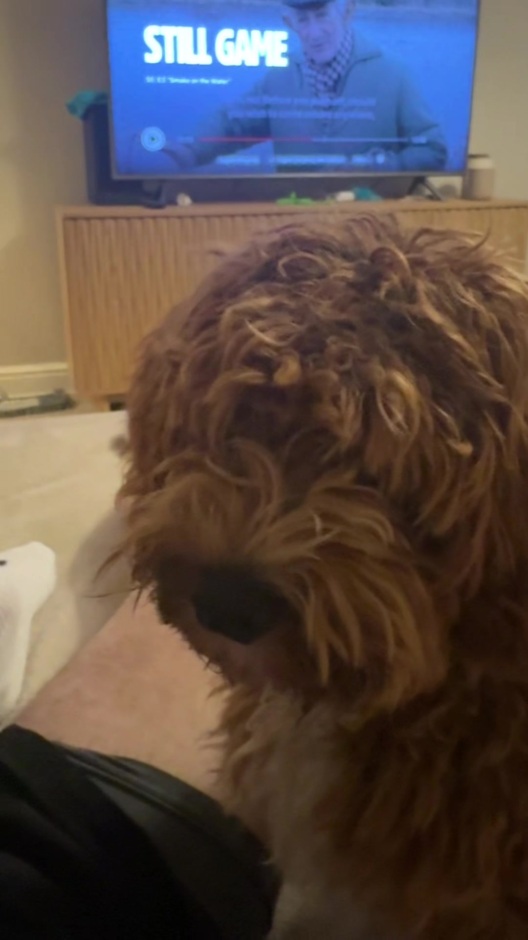 @bentalkstics
