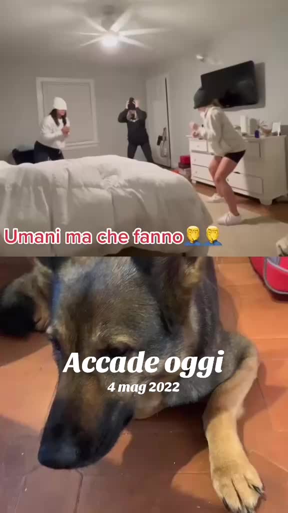 @Janedeivolsci&victorio