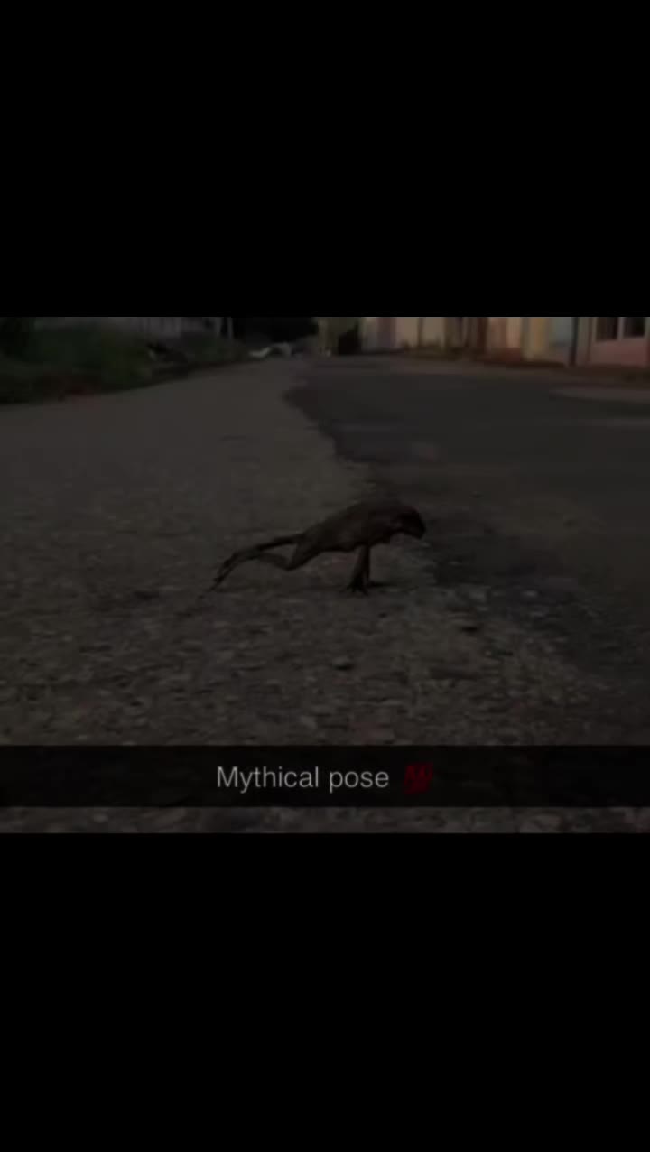 @Mr.Jøhπ