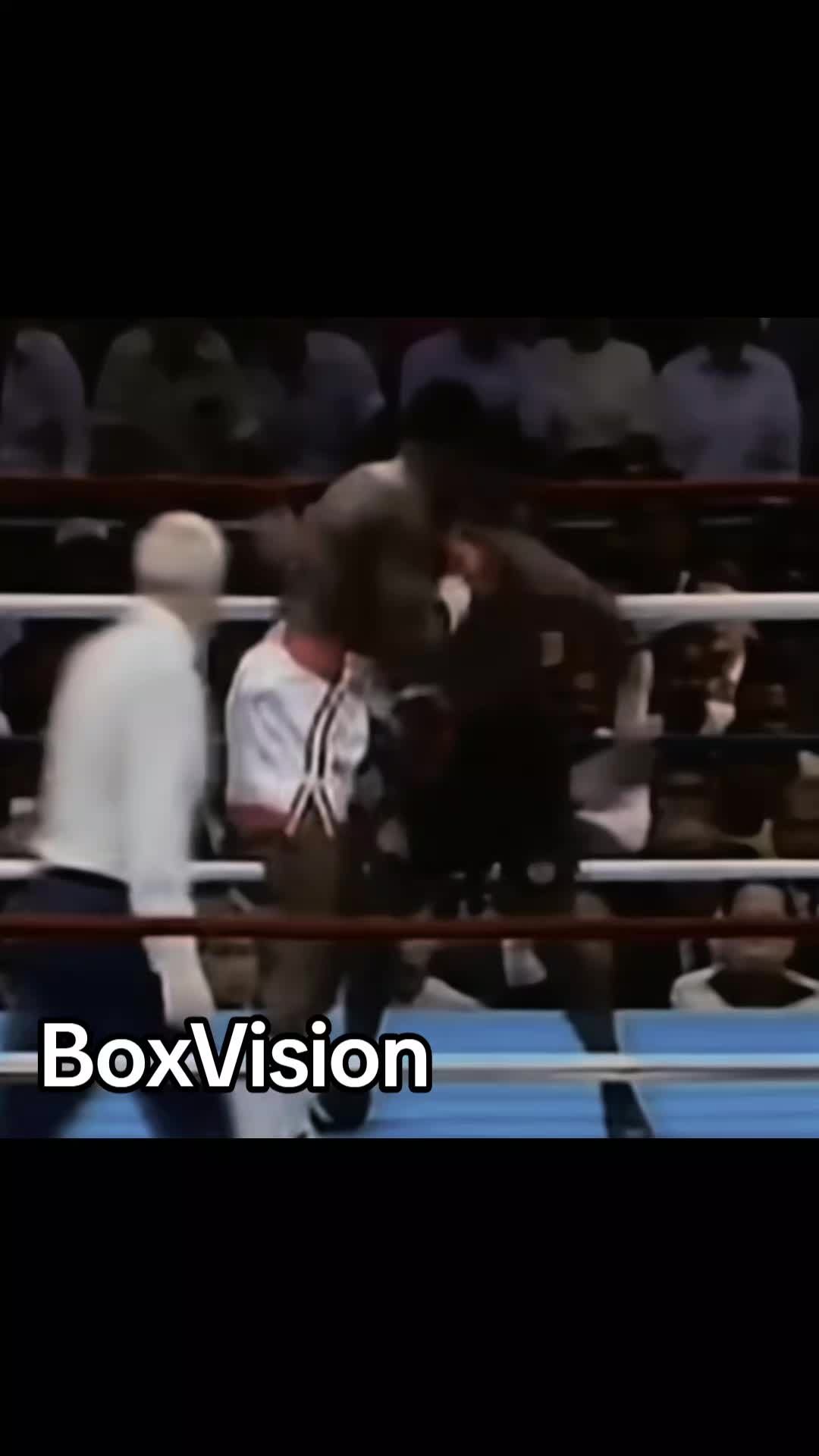 @BoxVision