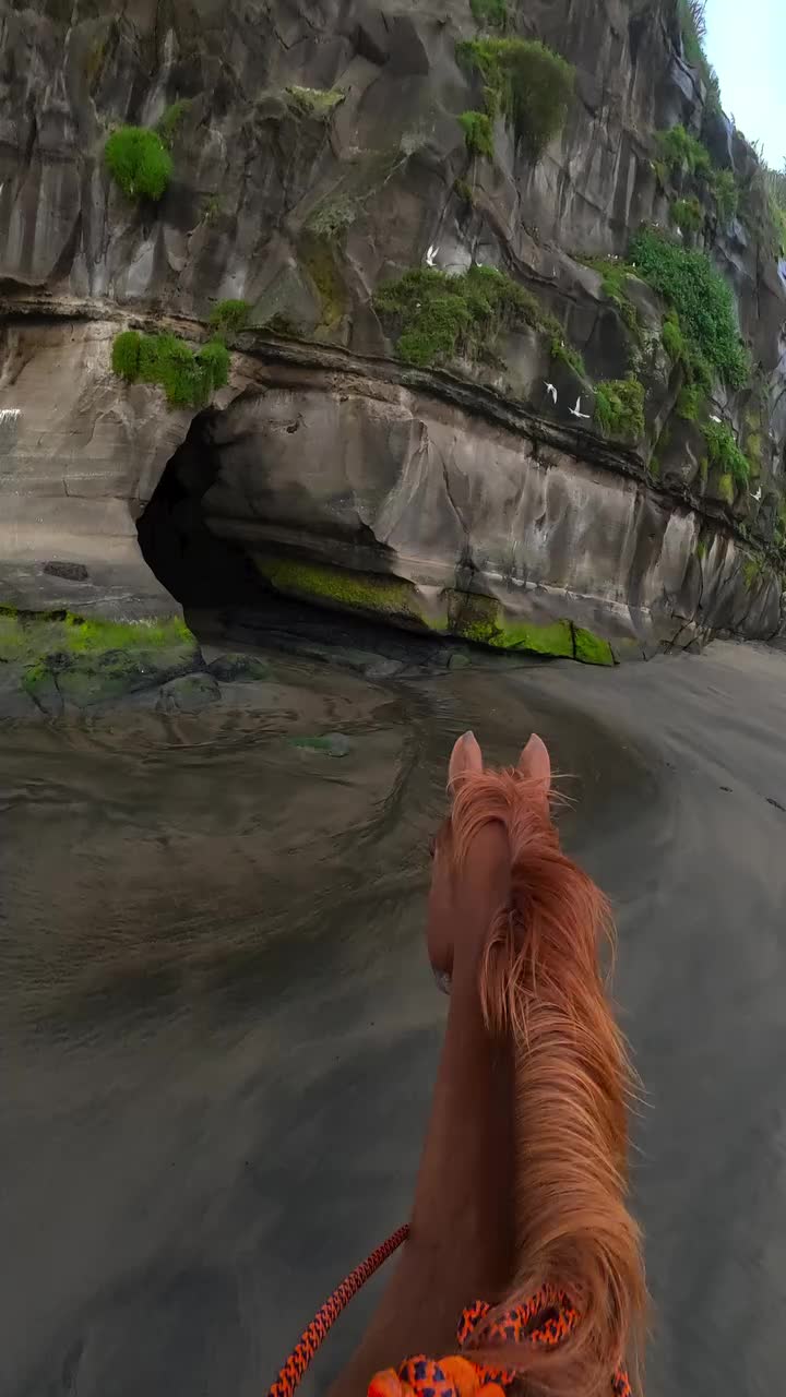 @ThunderGallops