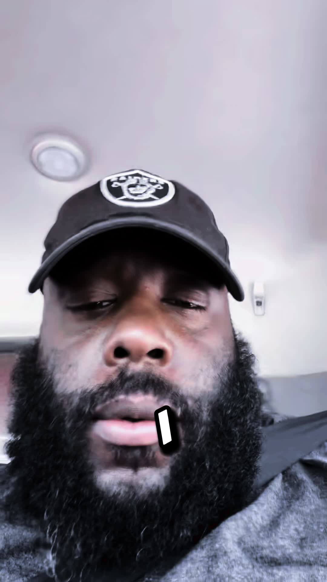 @Gr3y Goose