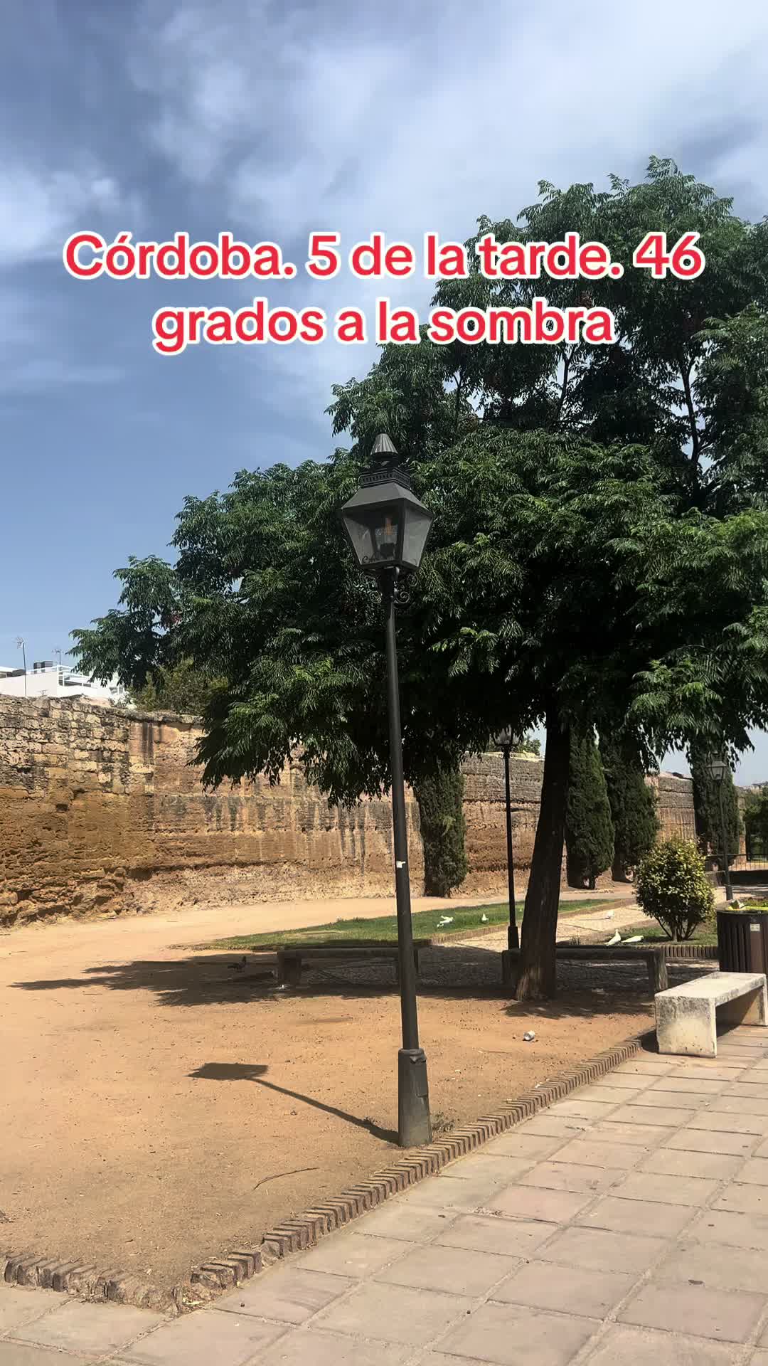 @Labambalinacordoba