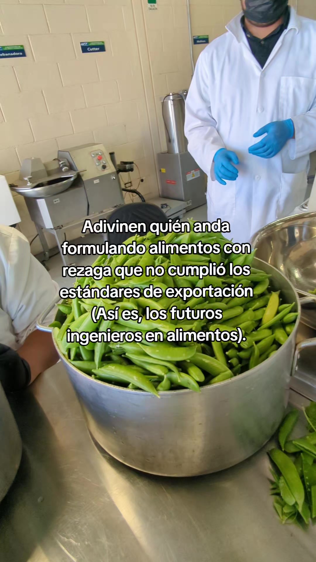 @Jesús Tristán