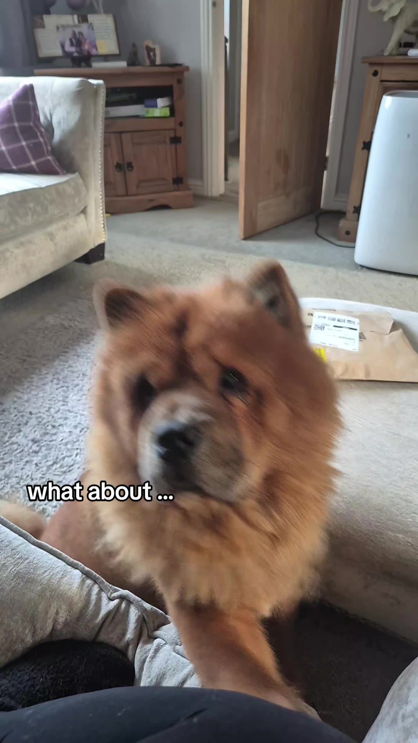 @mimi🧸
