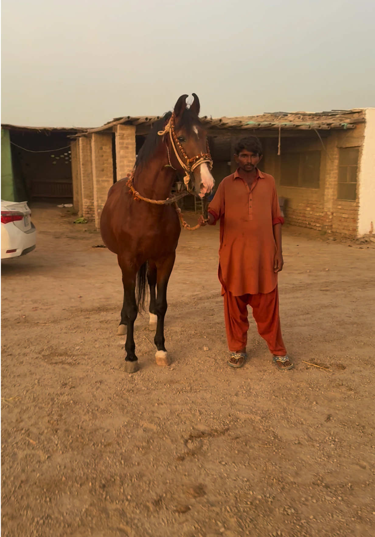 @Hayat Raza