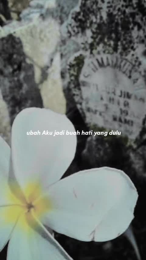 @Moh izal