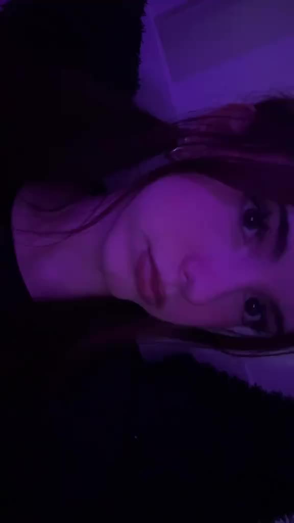 @≽^• ˕ • ྀི≼