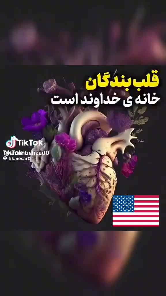 @Jawad Mansori