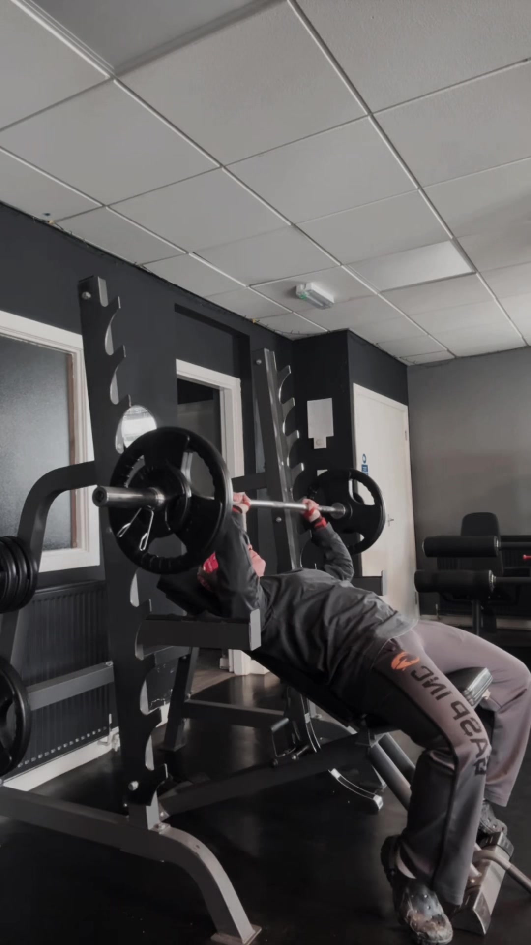 @Proteinfarts