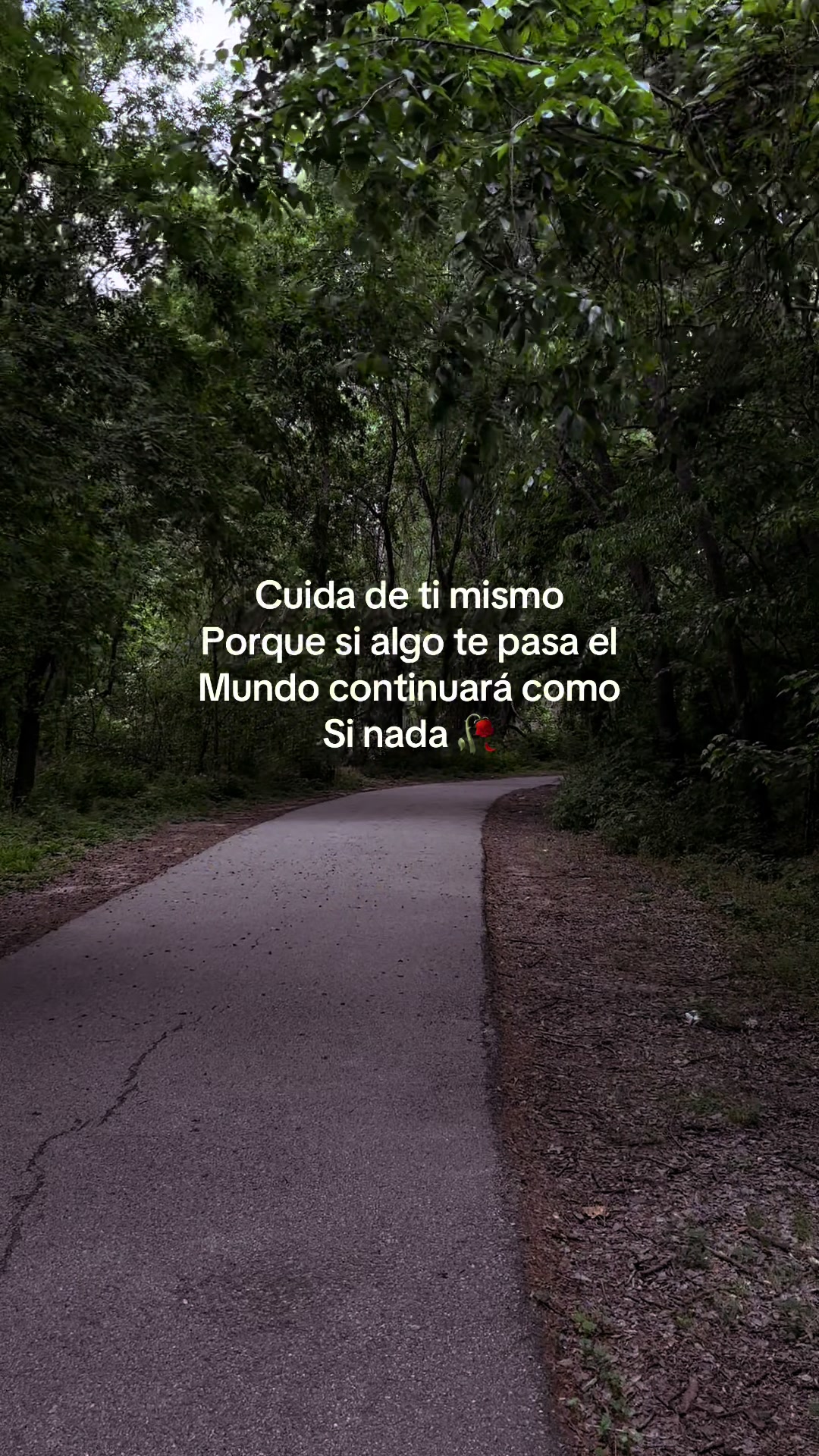 @Elías Gcs