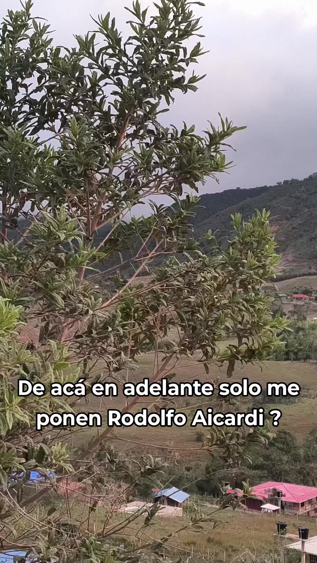 @ricitosdeoro☀️