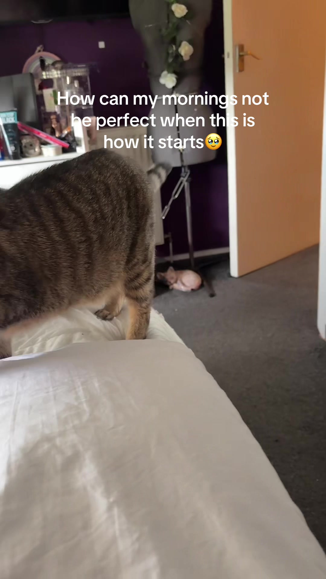 @Rebecca 🫶🏻