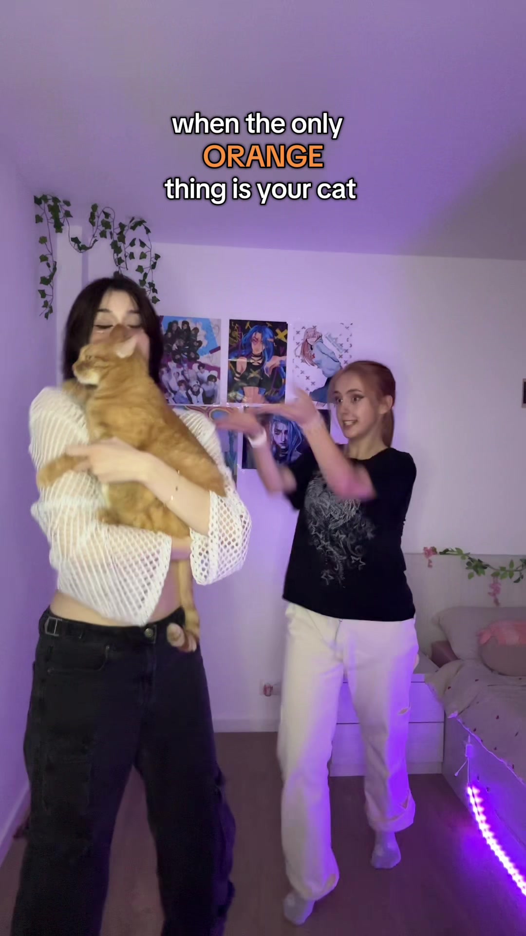 @ioana ౨ৎ