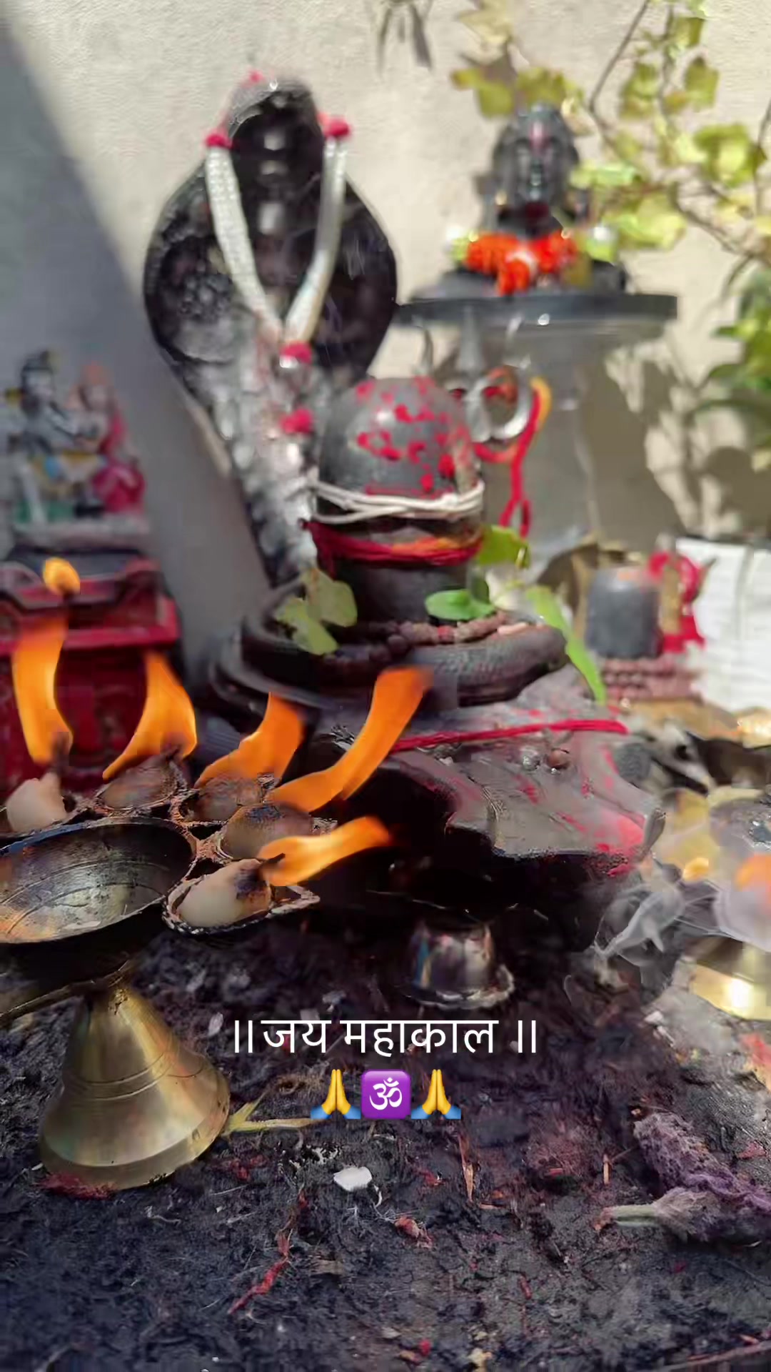 @ਵਲੈਤੀ ਪੰਜਾਬਣ sukh/ਸੁਖ