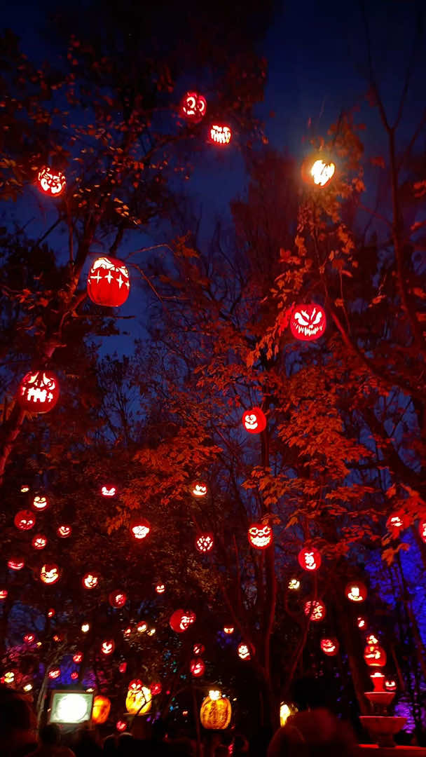 @🎃𝕽𝖆𝖈𝖍𝖊𝖑🦇