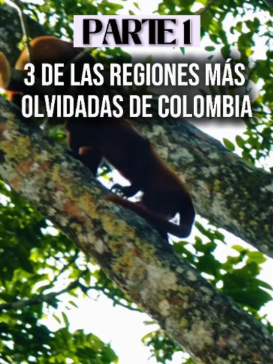 @El Dato Hoy
