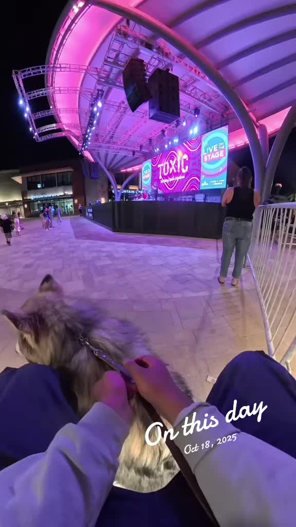 @Neko, Tokahli and Bear