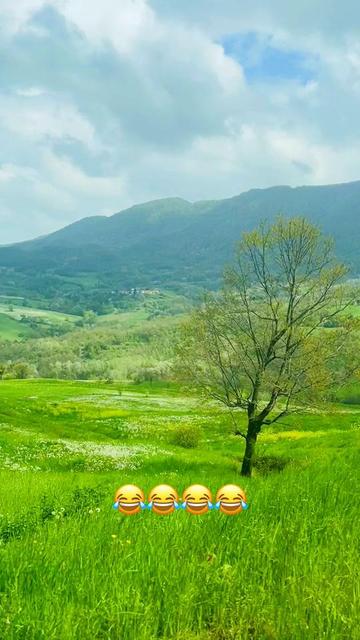 @sukh italy 🇮🇹🦁✈️