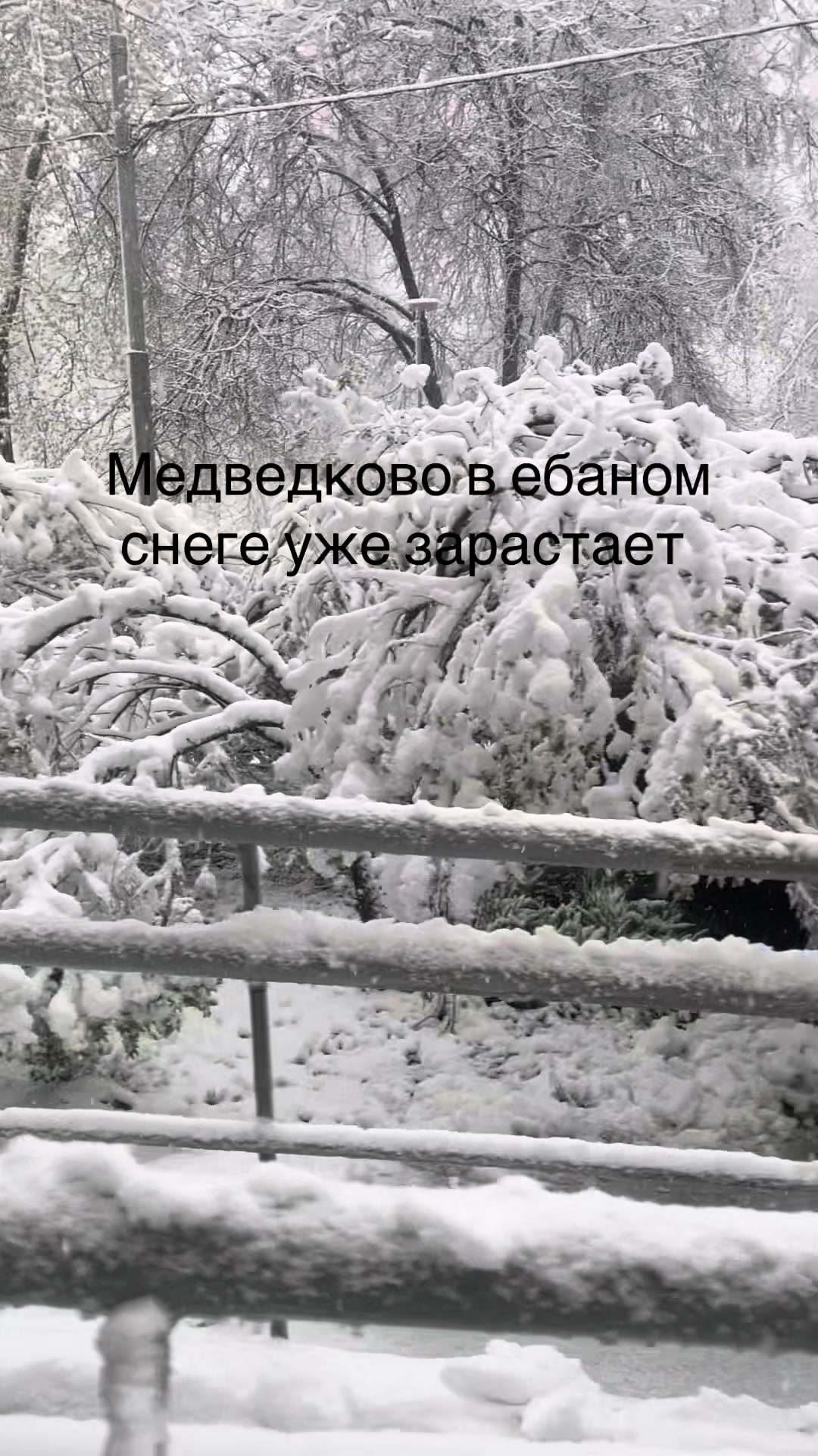 @7️⃣7️⃣(2акк)