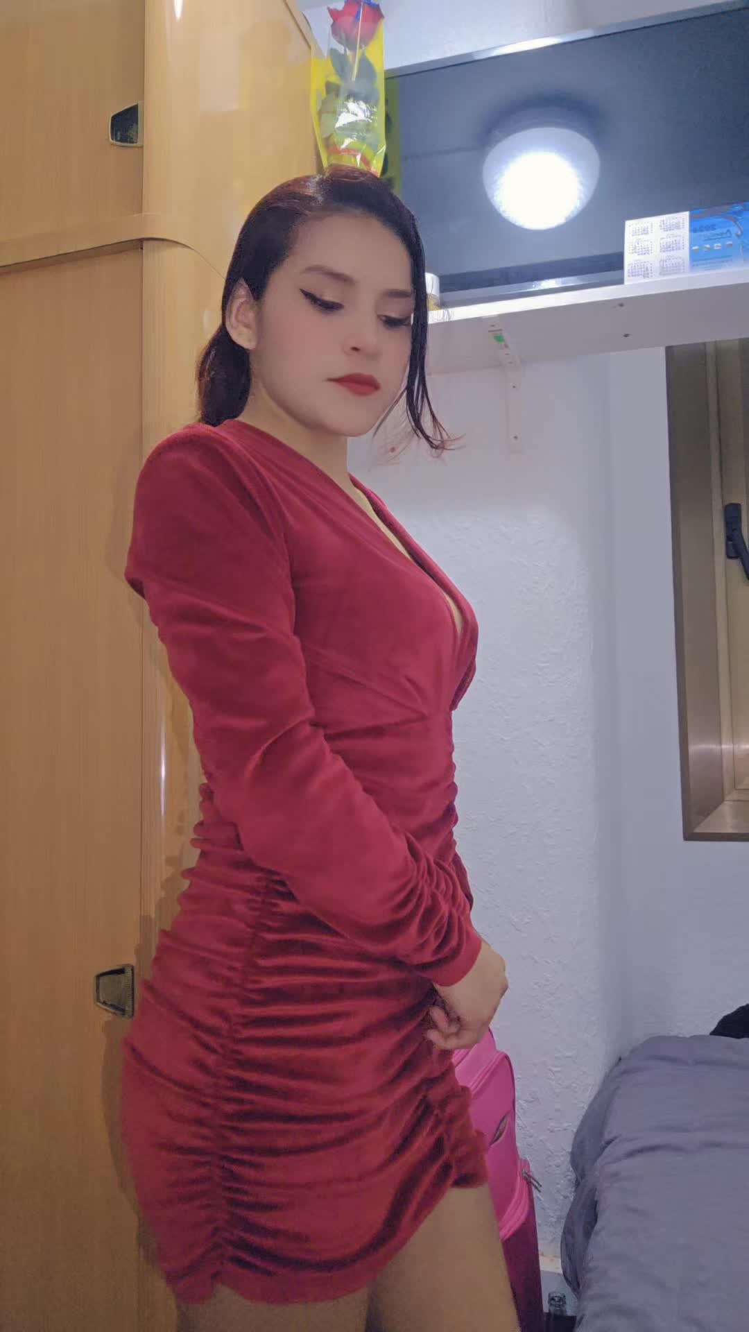 @✨️🐾💫🧭