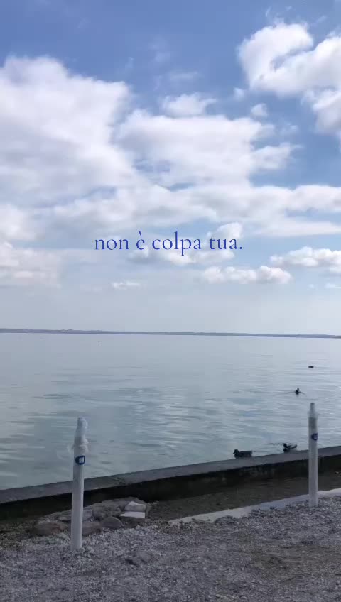 @sisonoio.