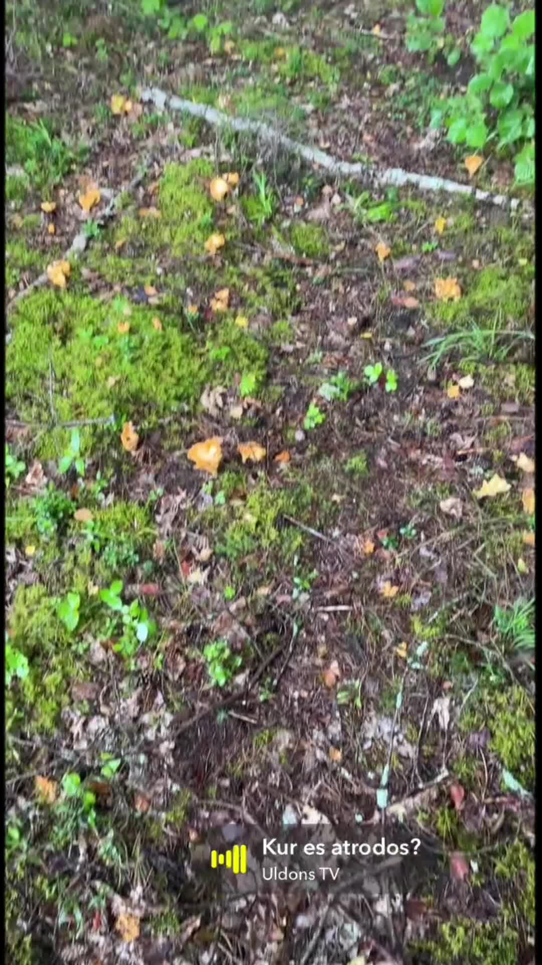 @Jana Kalniņa