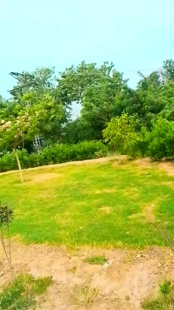 @siddiquejutt09