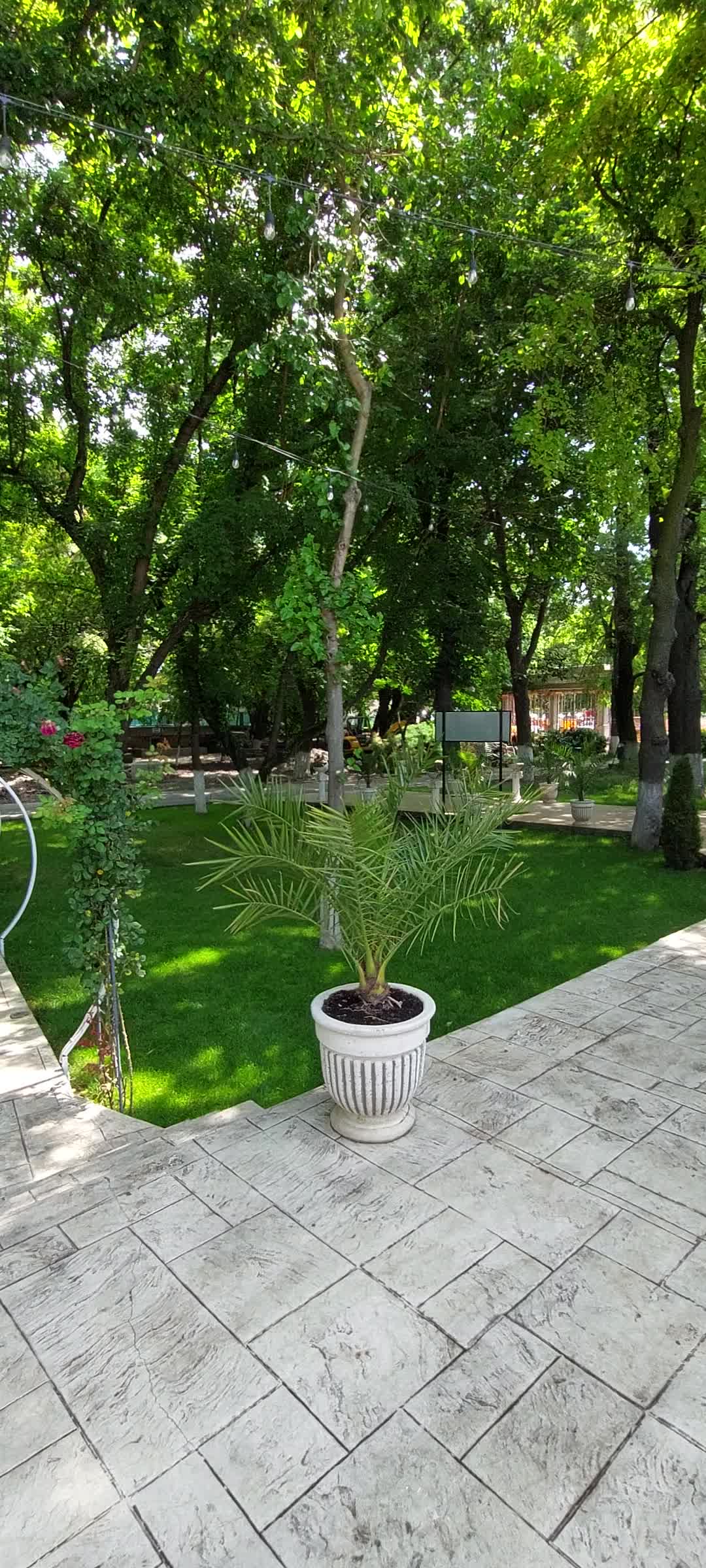 @Petrescu Monica