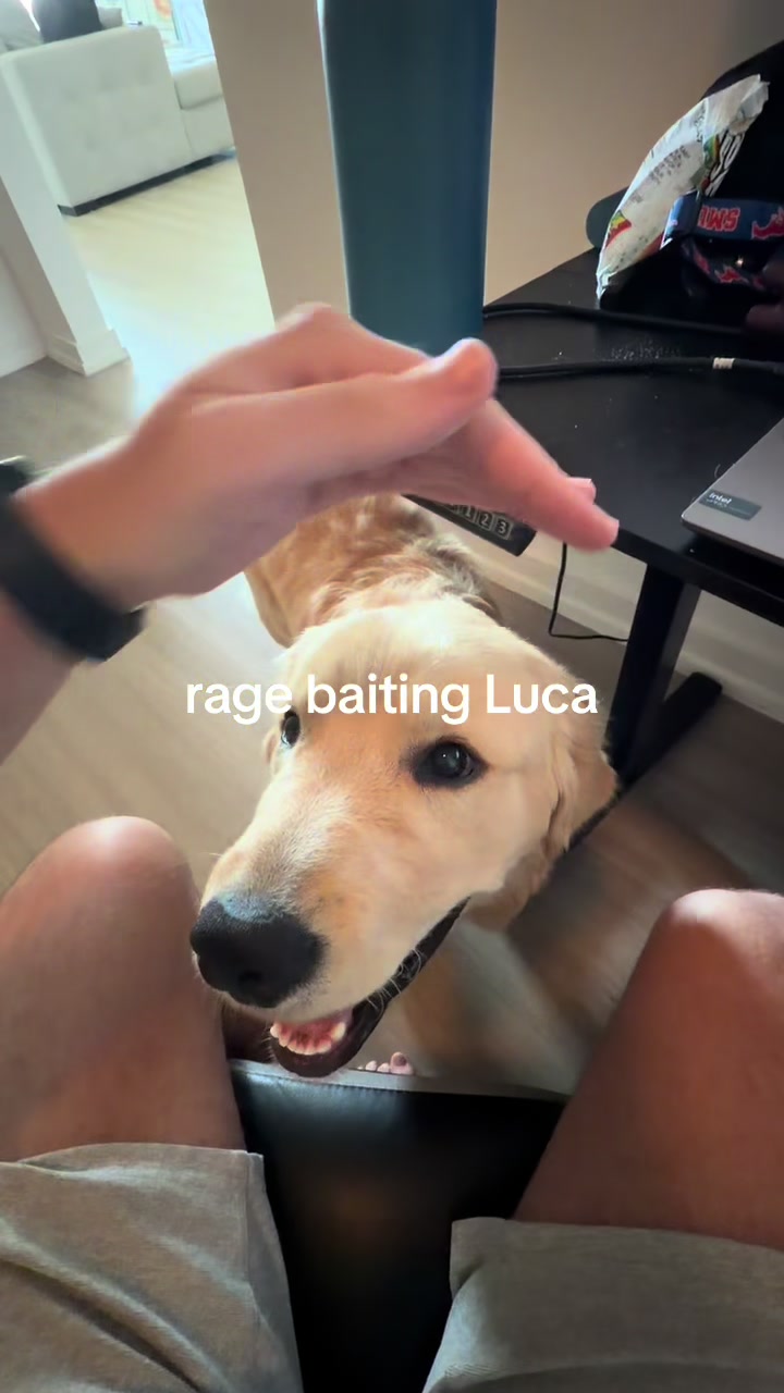 @Luca the Golden