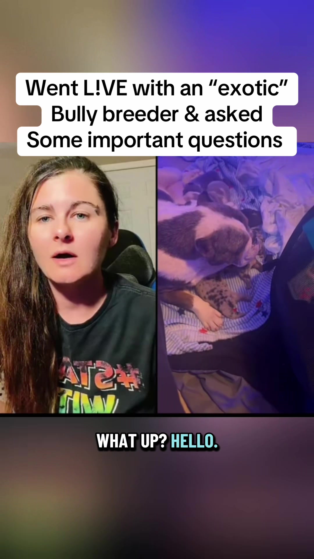 @Jess Shark🐾DOG PACK🐾