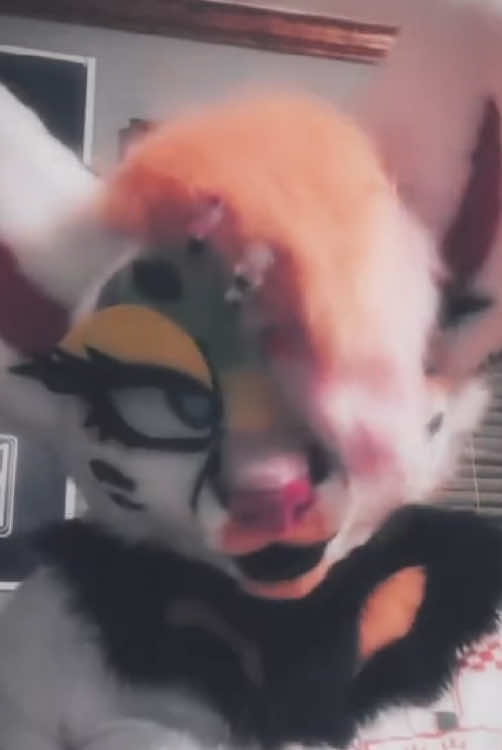 @Liger~Liger🐾🍉
