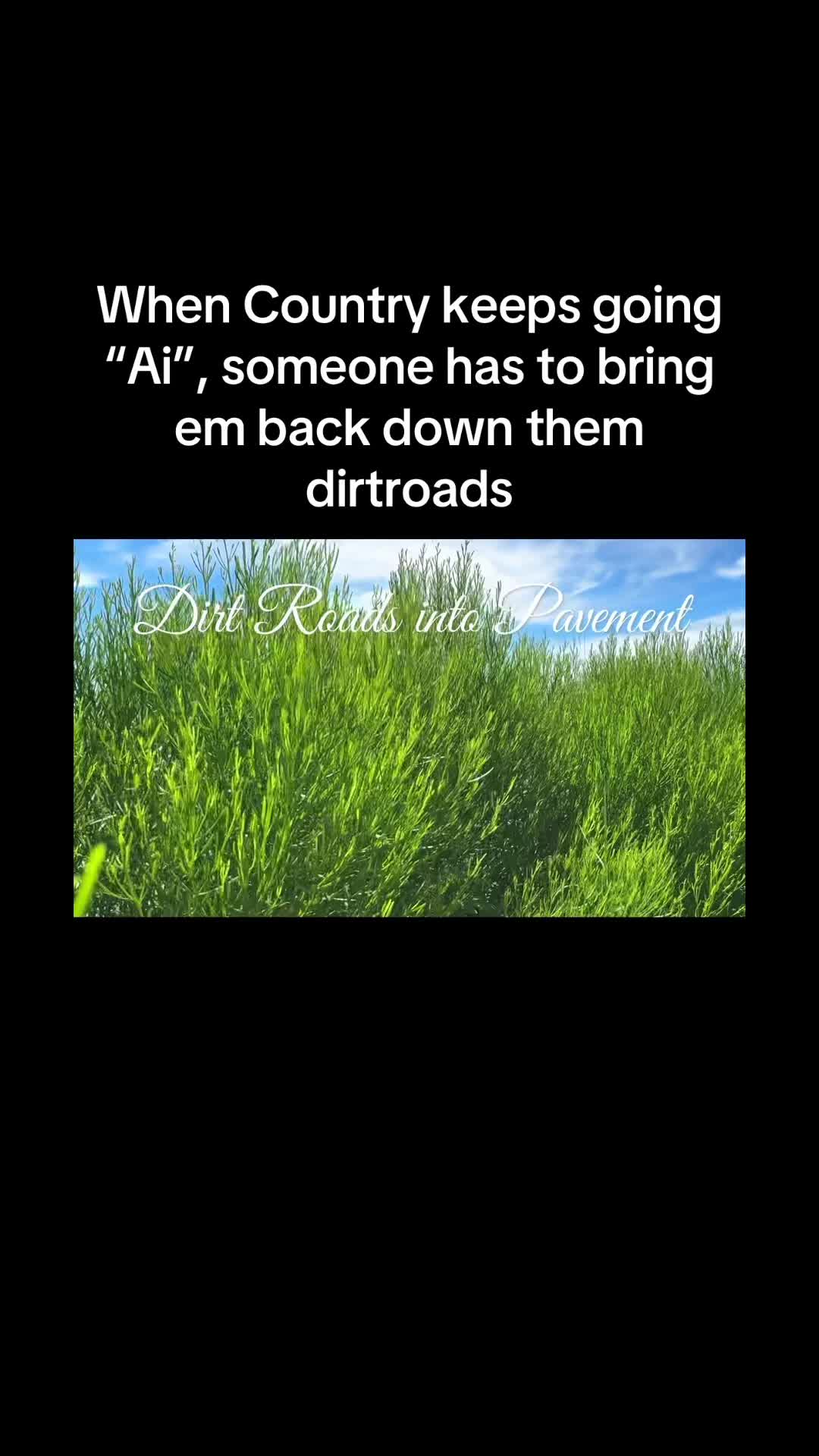 @Taylor Woods