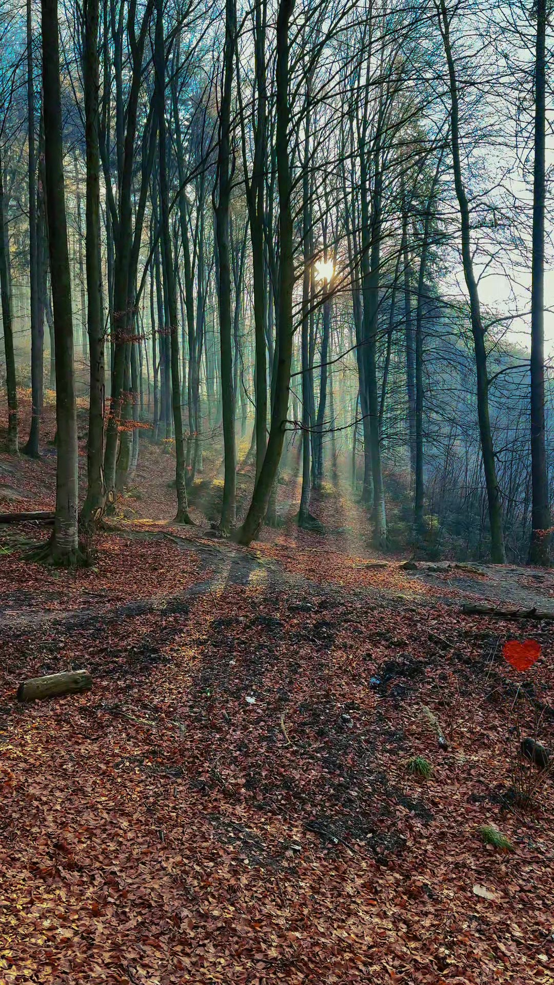 @4KNature