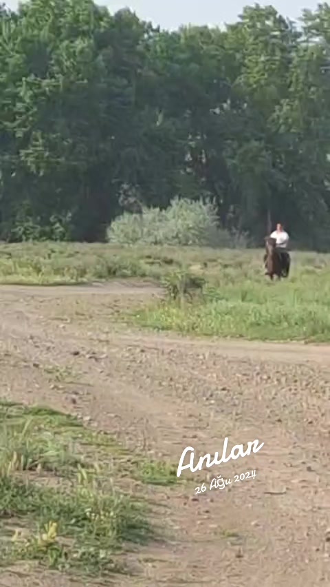 @Rauf