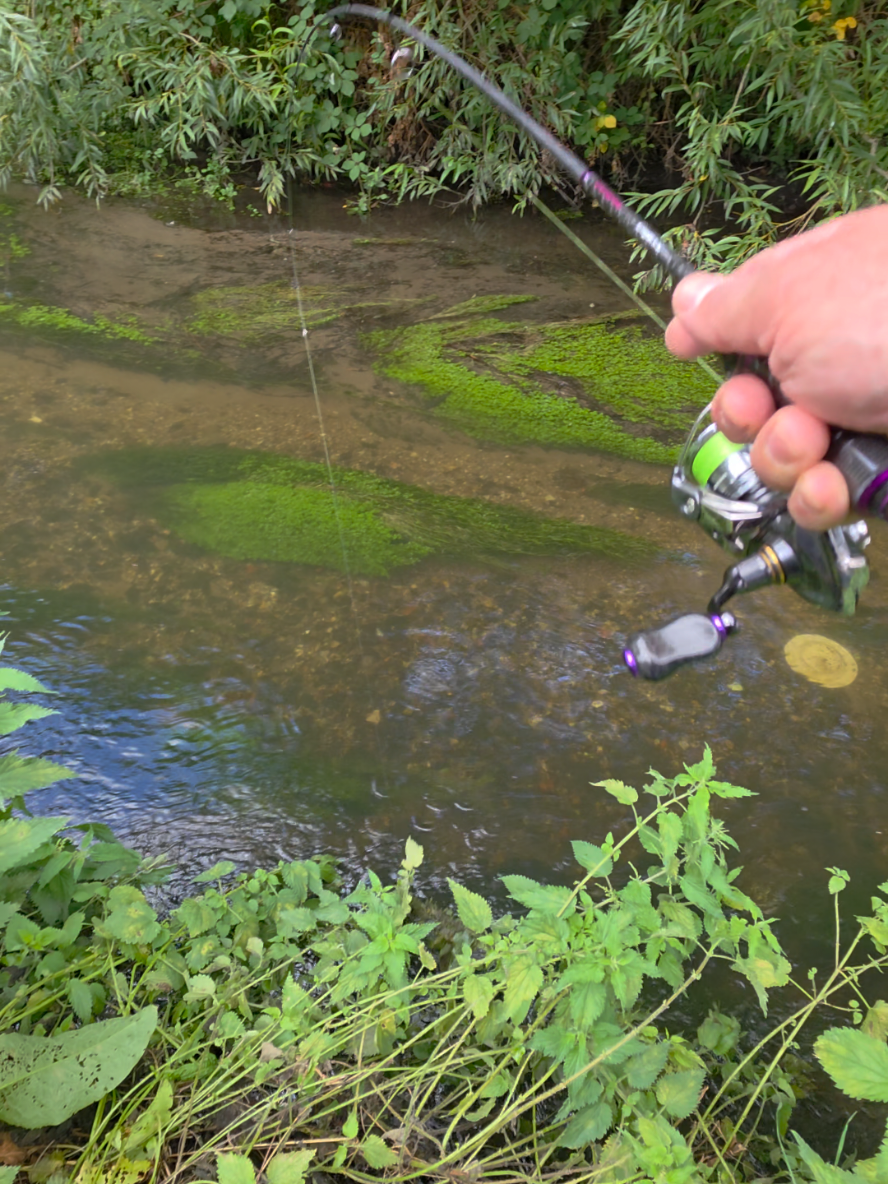 @BF Angler