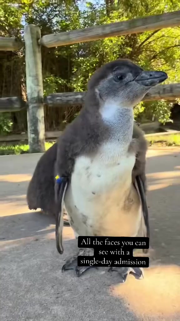 @TanganyikaWildlifePark