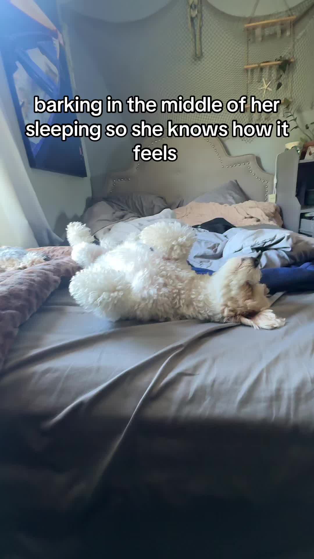 @🤩🤩🤩