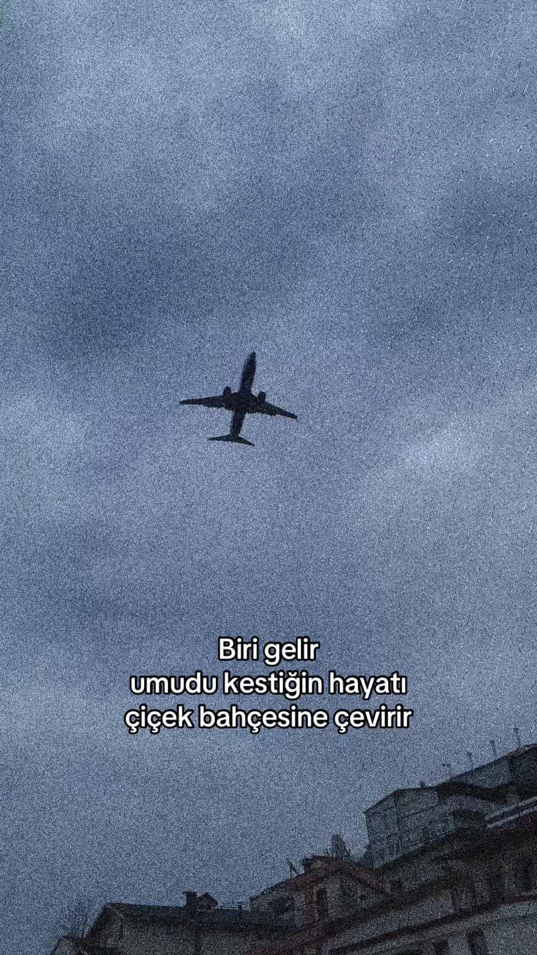 @𝓔 ᥫ᭡ 𝓐