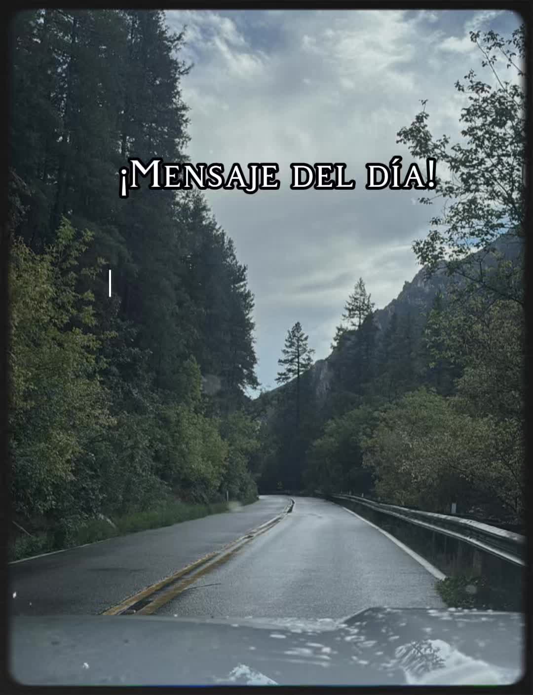 @silvia H