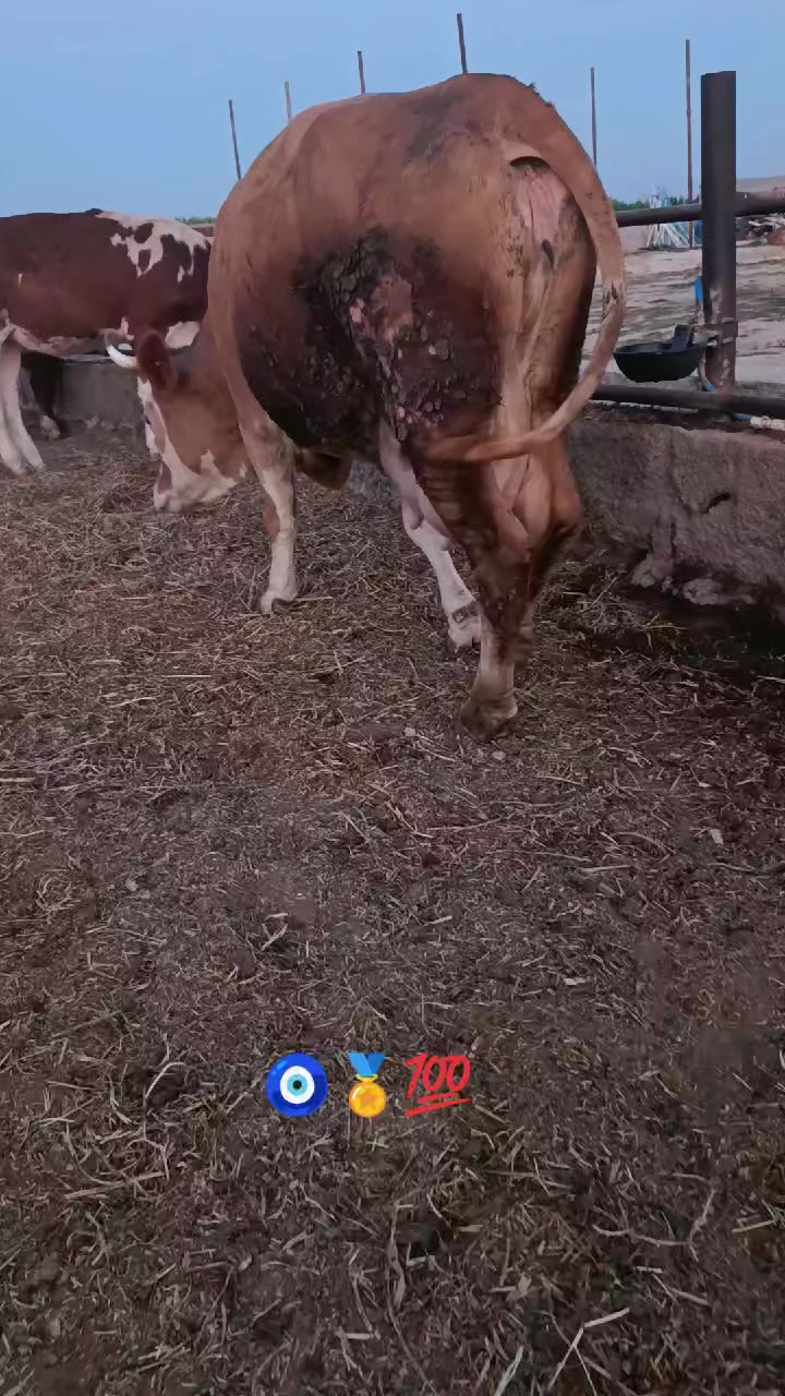@🦅(;İSMET_AYDIN🇹🇷NİĞDE🎖️