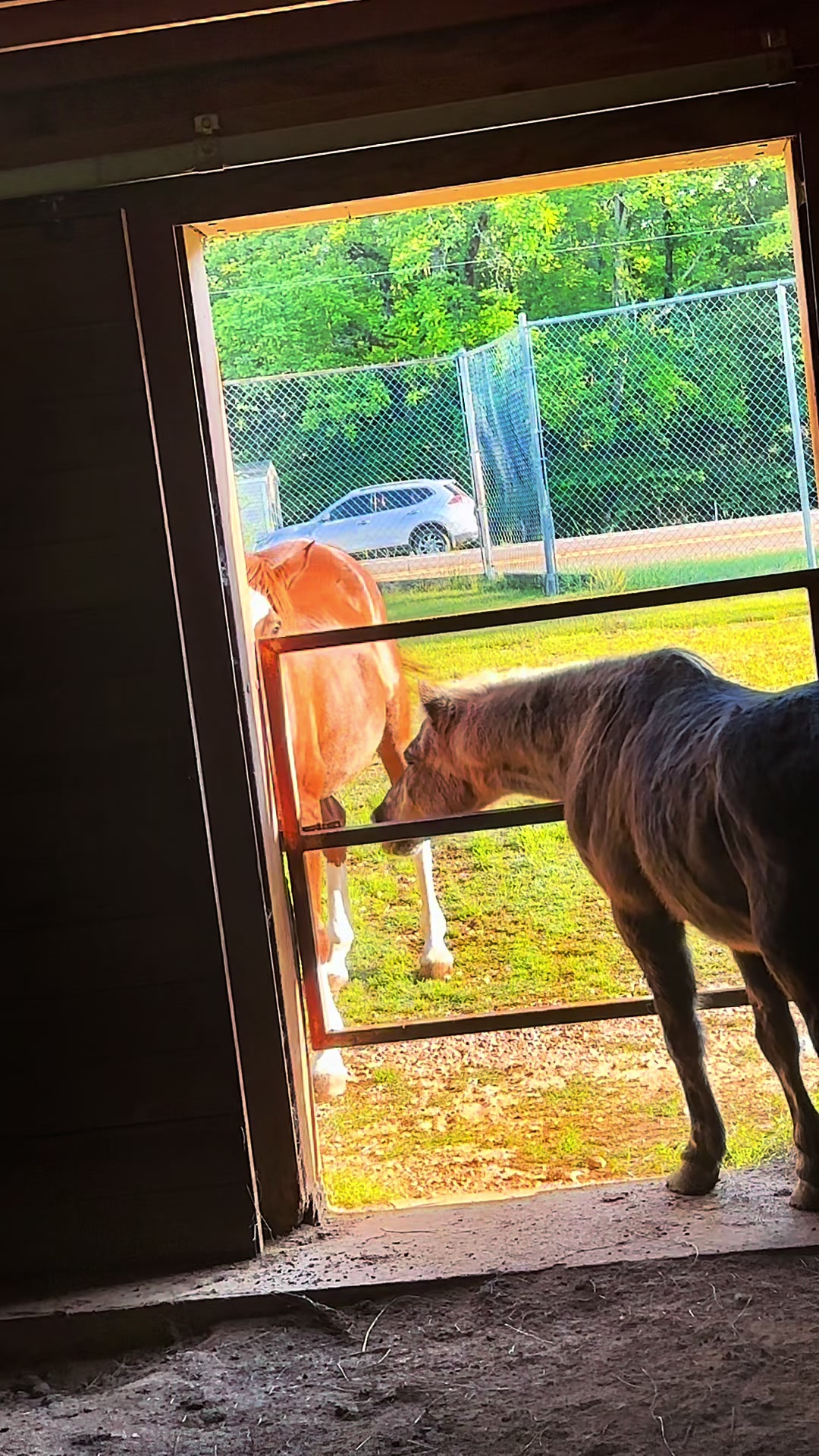 @Cedarhill Animal Sanctuary